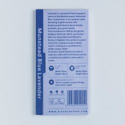 Lavendelfr� (Munstead Blue Lavender)