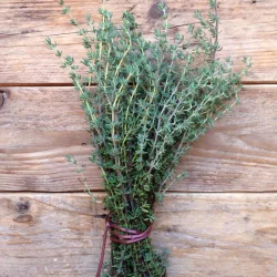 Timianfr� (Thyme de Provence)
