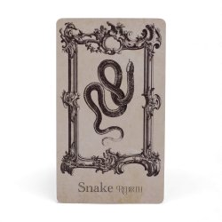 "The Spellbook" Orakelkort