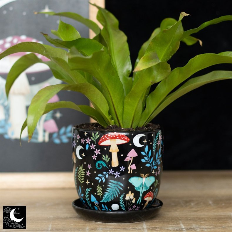 "Dark Forest" Keramik Potte med Undersk�l