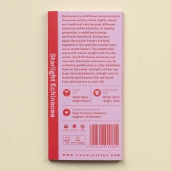 Purpursolhatfr� (Starlight Echinacea)