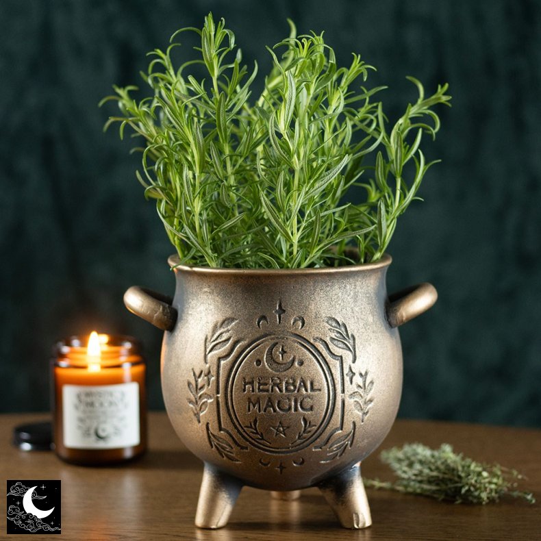 "Herbal Magic" Kedelformet Terrakotta Plantepotte