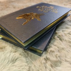 The Egyptian Book of the Dead