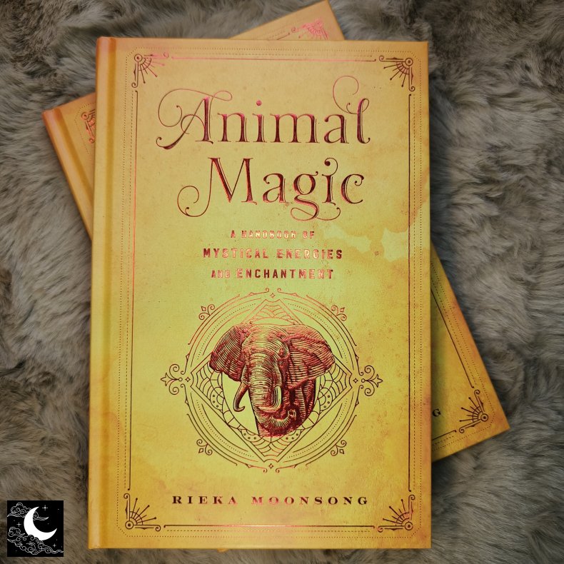 Animal Magic