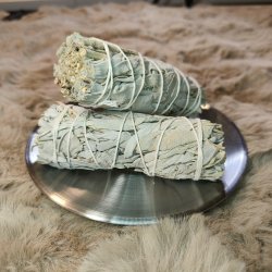 Hvid Salvie Bundt 10 cm