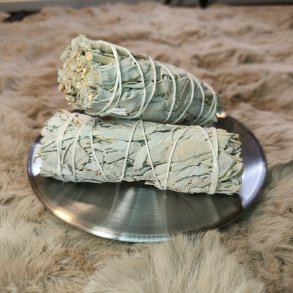 Hvid Salvie Bundt 10 cm