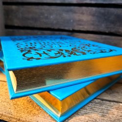 The Book of Astrology (Hardback)
