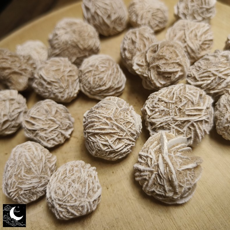 �rkenrose 2-4cm