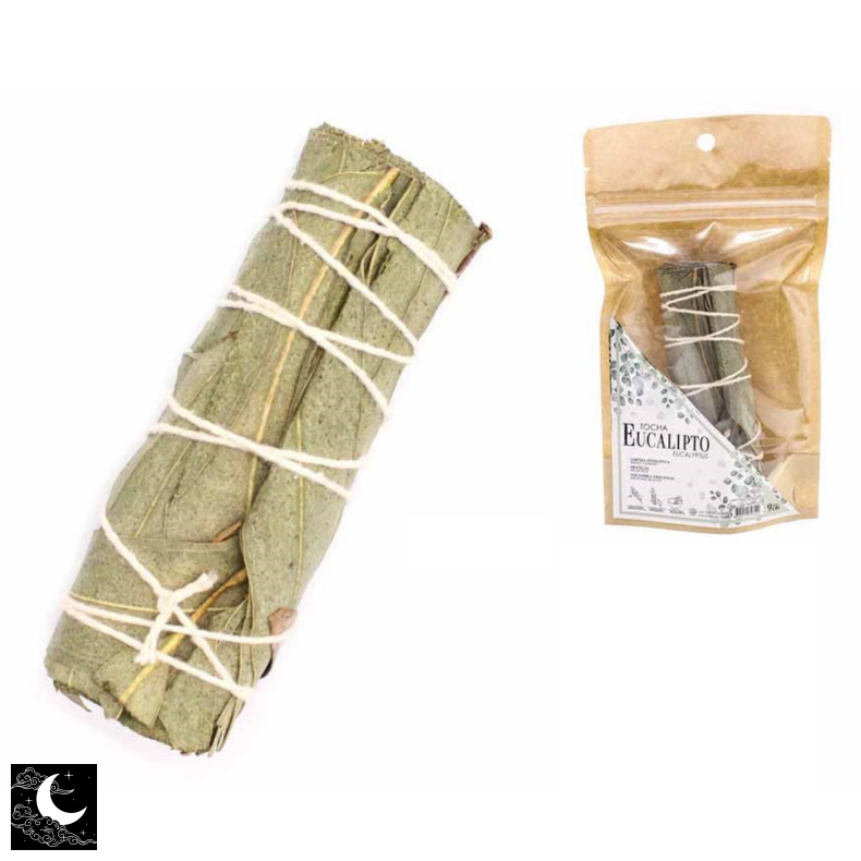 Eukalyptus R�gelsesbundt 9cm