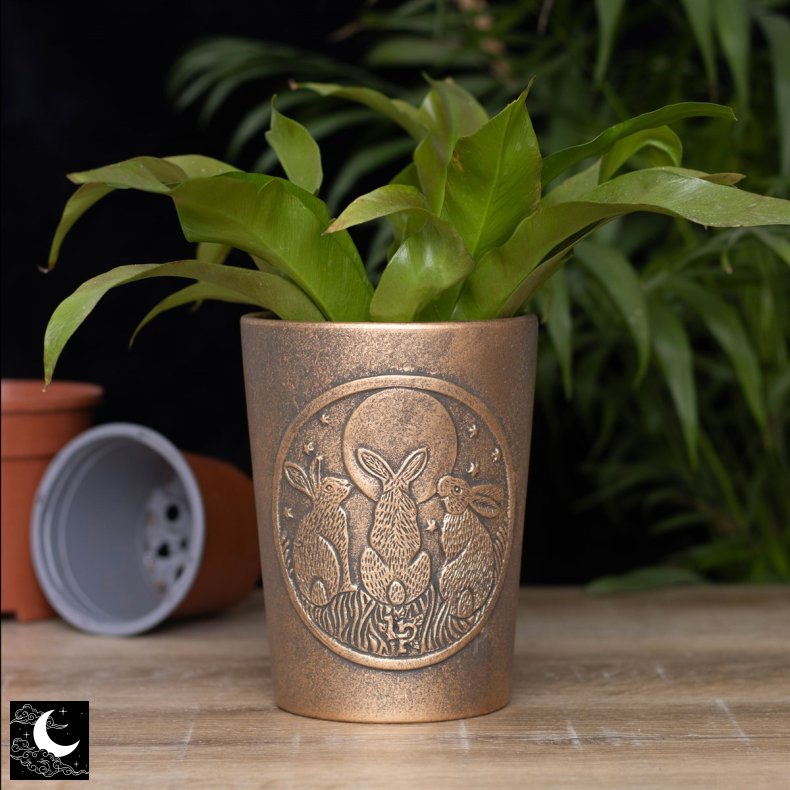 "Moon Shadows" Terracotta Potte af Lisa Parker