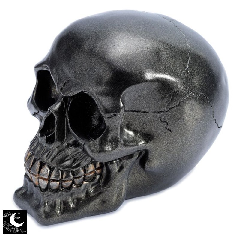 Sort Metallisk Kranie