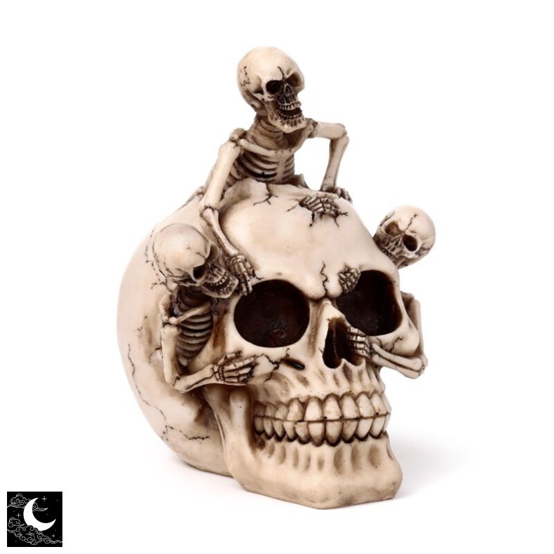 Kranie Med Sm� Skeletter