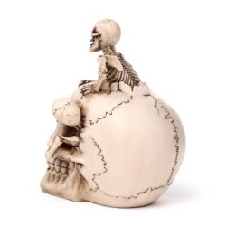 Kranie Med Sm� Skeletter