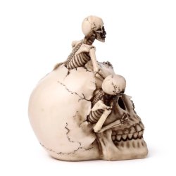 Kranie Med Sm� Skeletter